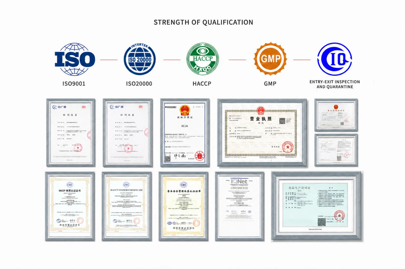 Qualification portfolio displaying ISO 9001, ISO 20000, HACCP, GMP and inspection-related certificates